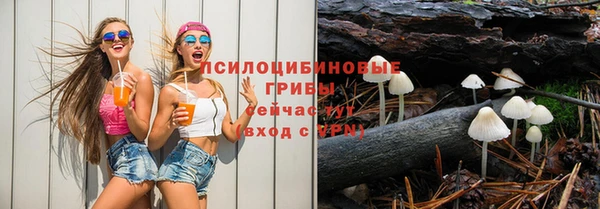 дмт Зеленодольск