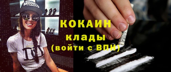 соль ск Волосово