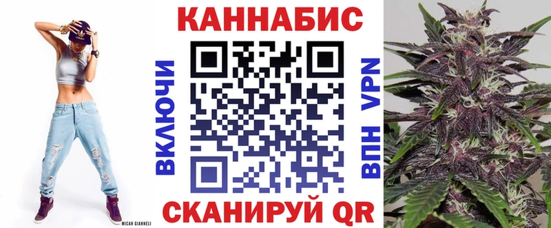 продажа наркотиков  Лесосибирск  Бошки марихуана ГИДРОПОН 